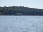 IMG 4669